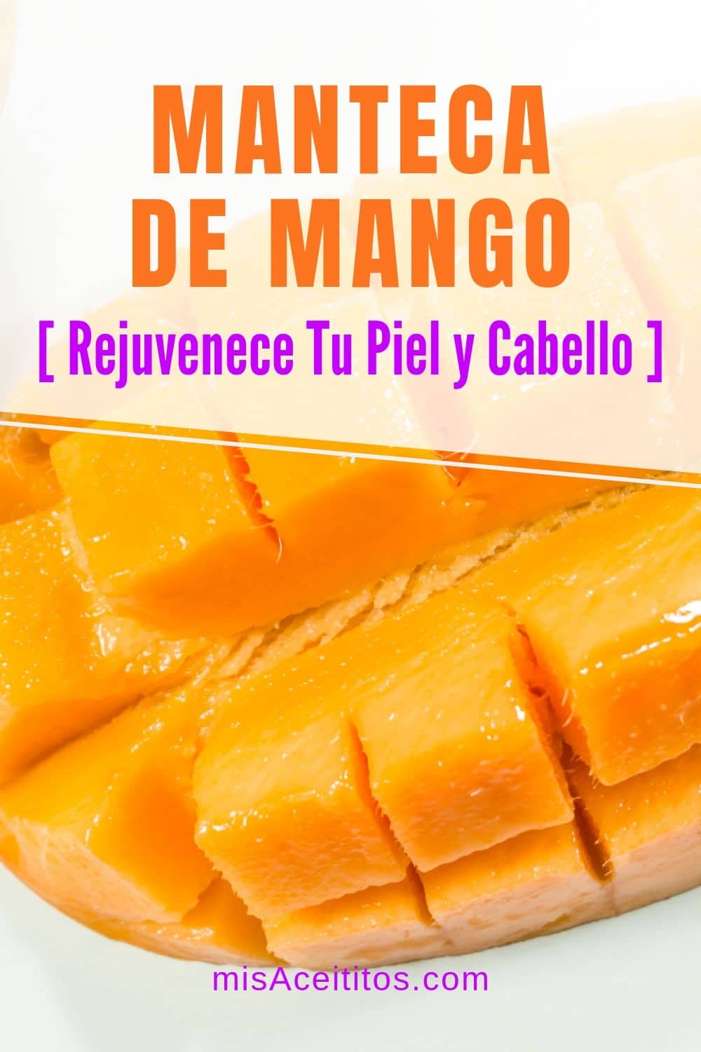 La Manteca de Mango es una potente hidratante y nutritiva que puede hacer maravillas en tu piel, rostro, cabello. Conoce todas sus propiedades, beneficios y usos.