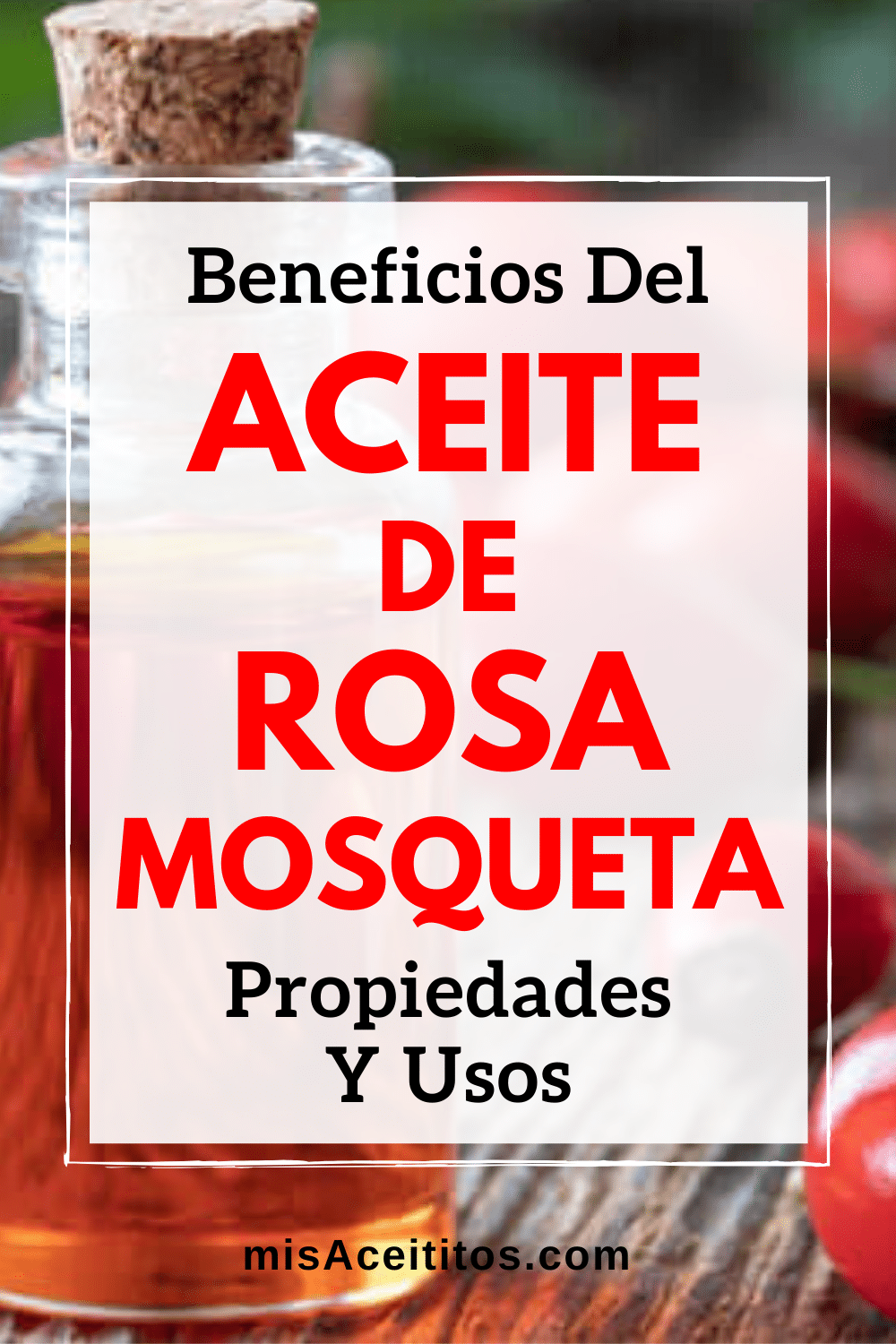 Aceite de Rosa Mosqueta: qué es, sus propiedades y beneficios, cómo usarlo y las precauciones que debes tener