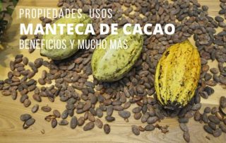 Manteca de Cacao Propiedades Usos Beneficios