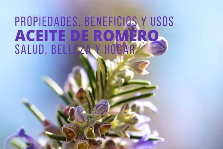 Propiedades, Beneficios y Usos del Aceite de Romero para tu Salud, Belleza y Hogar.