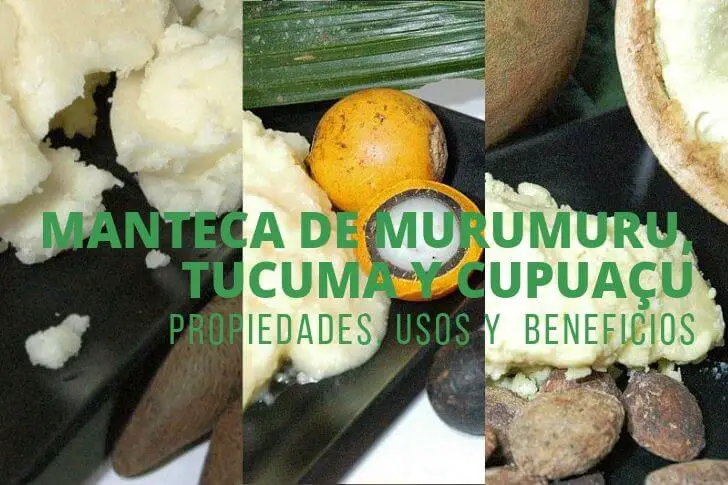 Mantecas de Murumuru, Tucuma, Cupuacu. Todas sus propiedades, beneficios y usos.