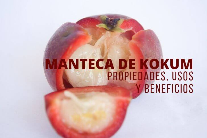 Manteca de Kokum Propiedades, Usos y Beneficios