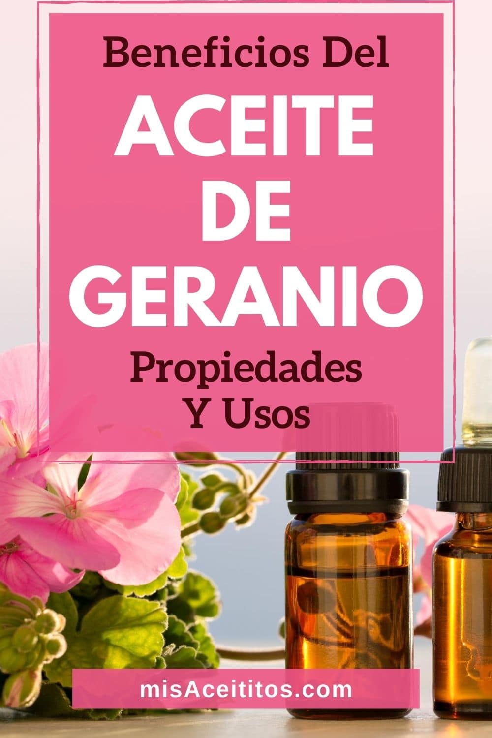 Aceite esencial de geranio y sus fabulosas propiedades, beneficios y usos