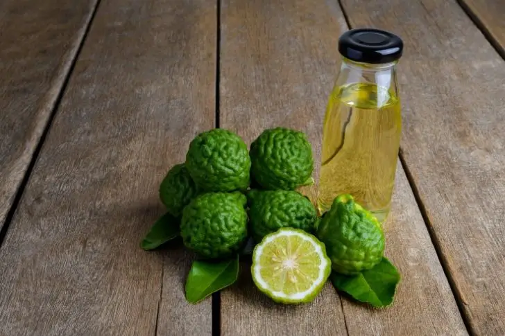 Los mejores beneficios y propiedades del aceite de bergamota y sus usos