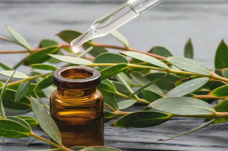 Botella de aceite de eucalipto con gotero junto a hojas de eucalipto