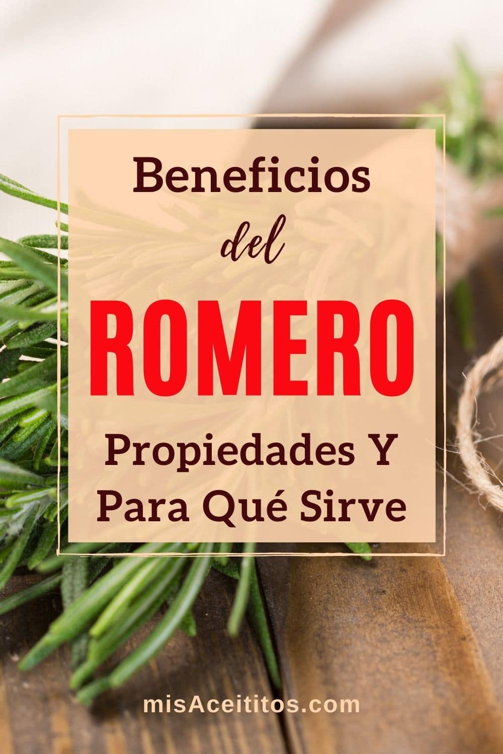 Beneficios Del Romero, Propiedades Y Para Qué Sirve 
