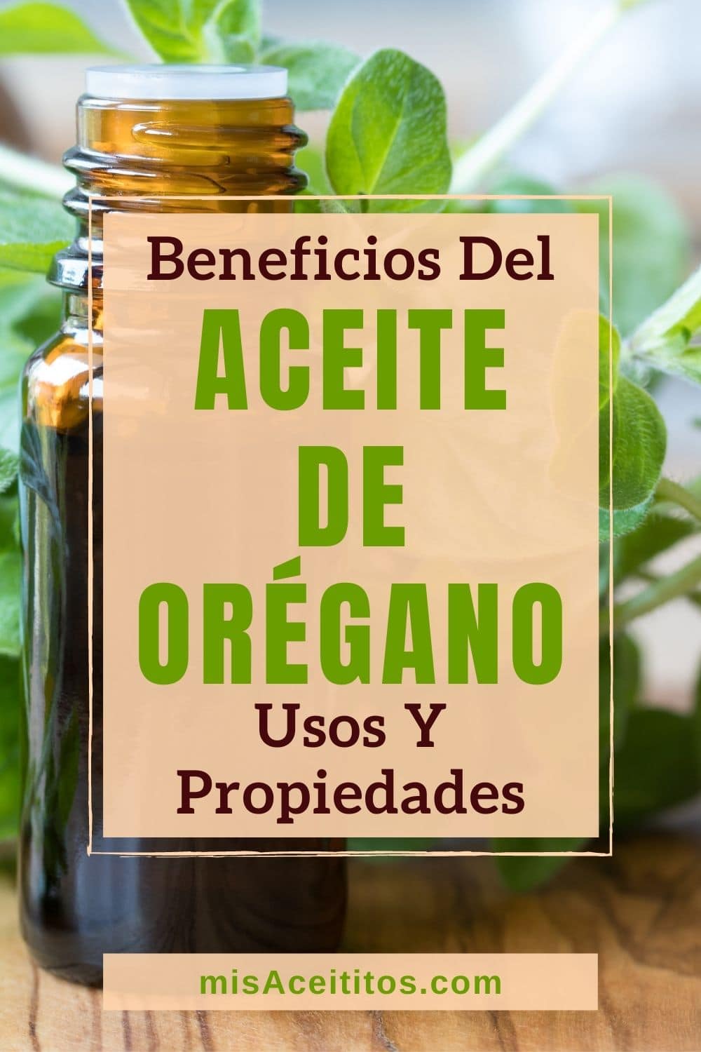 Aceite de Orégano: Beneficios, Propiedades y Usos