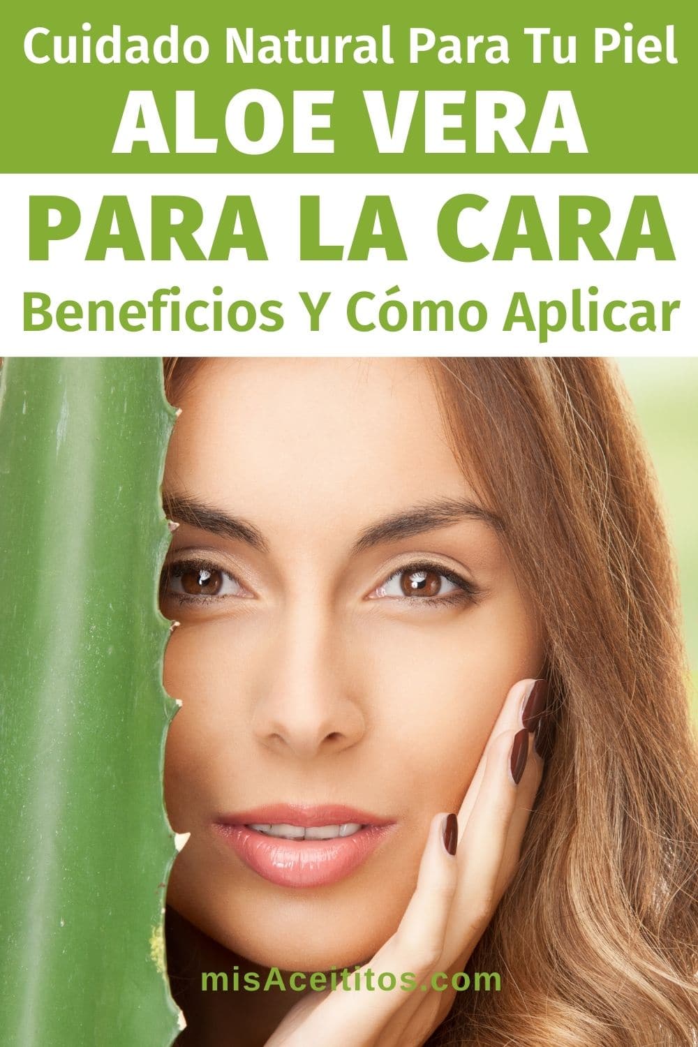 Beneficios y Usos del Aloe Vera para la Cara.