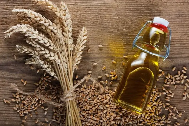 Aceite de germen de trigo y sus beneficios, propiedades y usos.