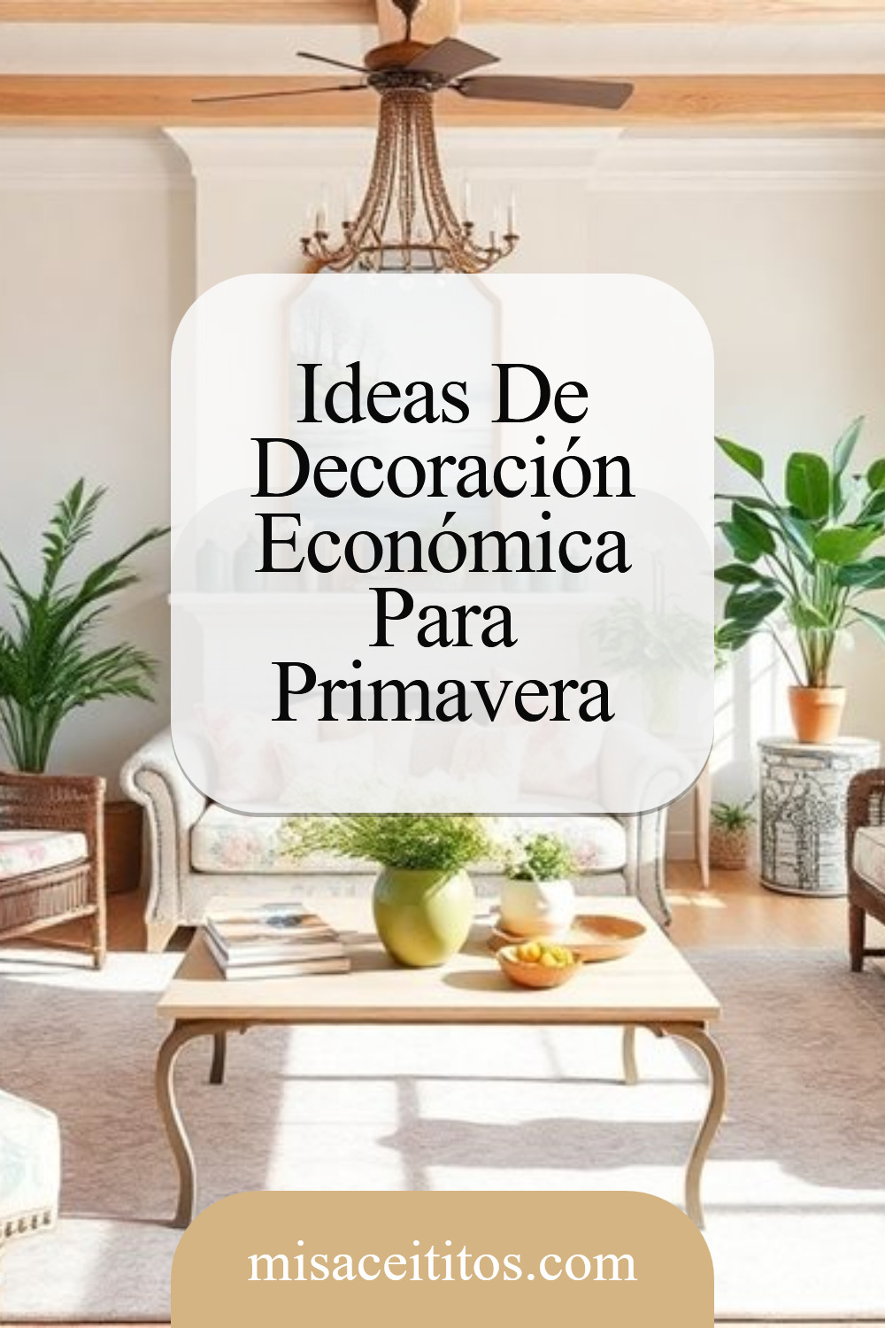 Tendencias Económicas Para Un Hogar De Primavera