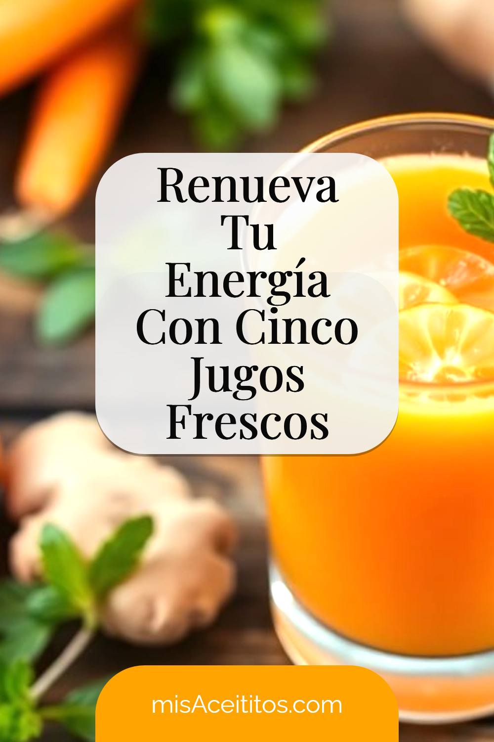 Vitalidad Diaria: 5 Jugos Que Te Nutren